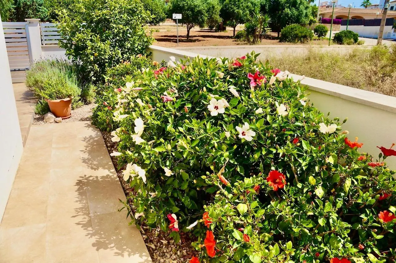 Villa Isla Bonita 萨若皮塔