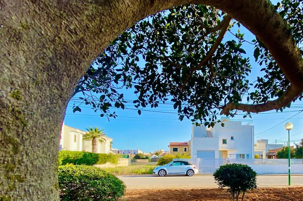 Villa Isla Bonita 萨若皮塔